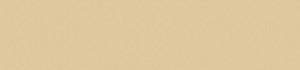 top_bg002
